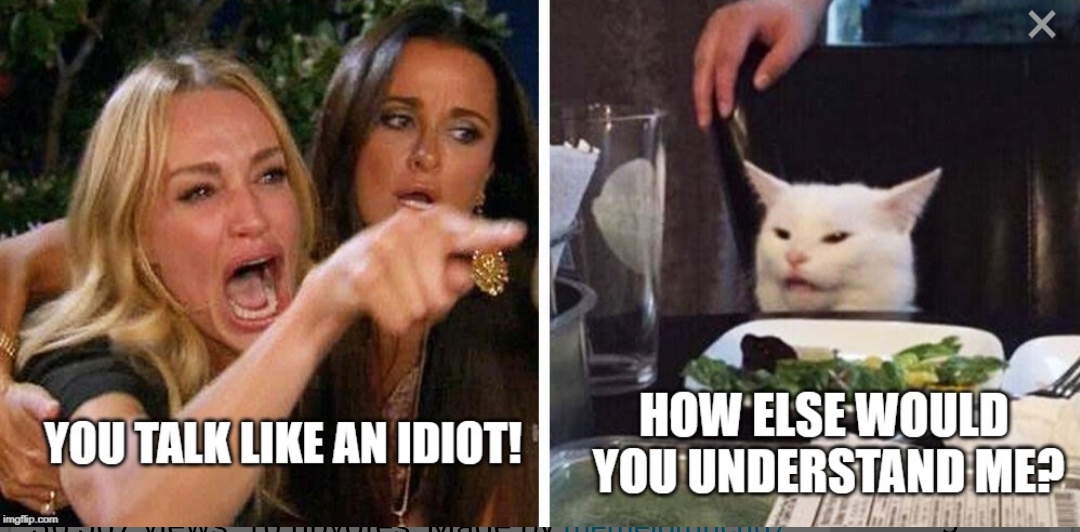 smudge the cat meme epstein - You Talk An Idiot! How Else Would You Understand Me? imgflip.com Eliti