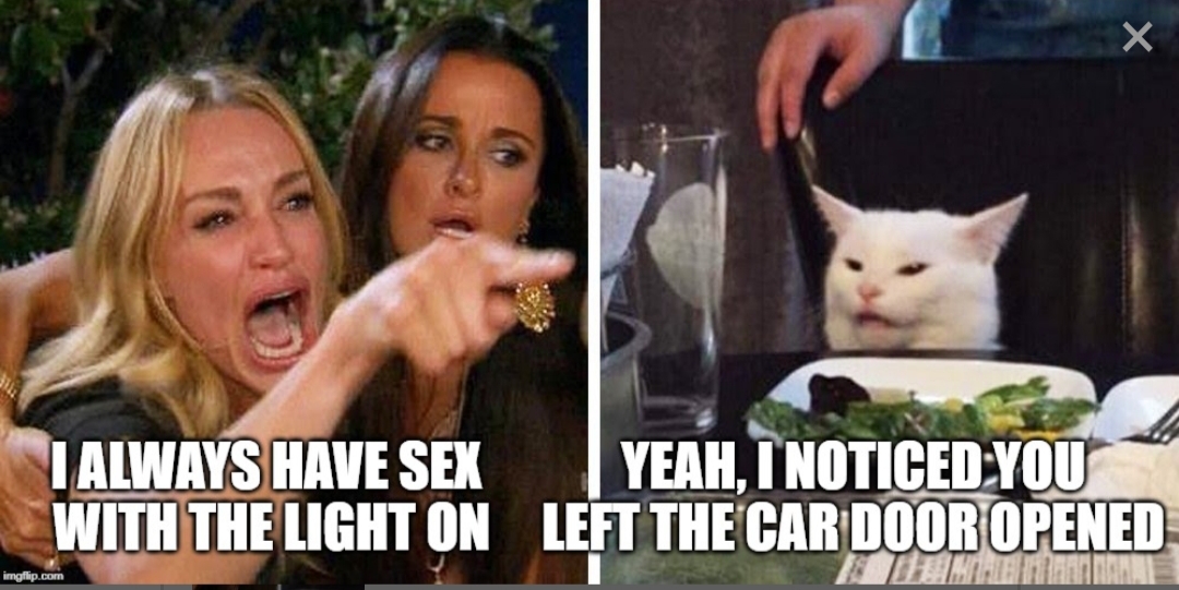 smudge the cat meme blank - I Always Have Sex Yeah, I Noticed You With The Light On Left The Car Door Opened imgflip.com