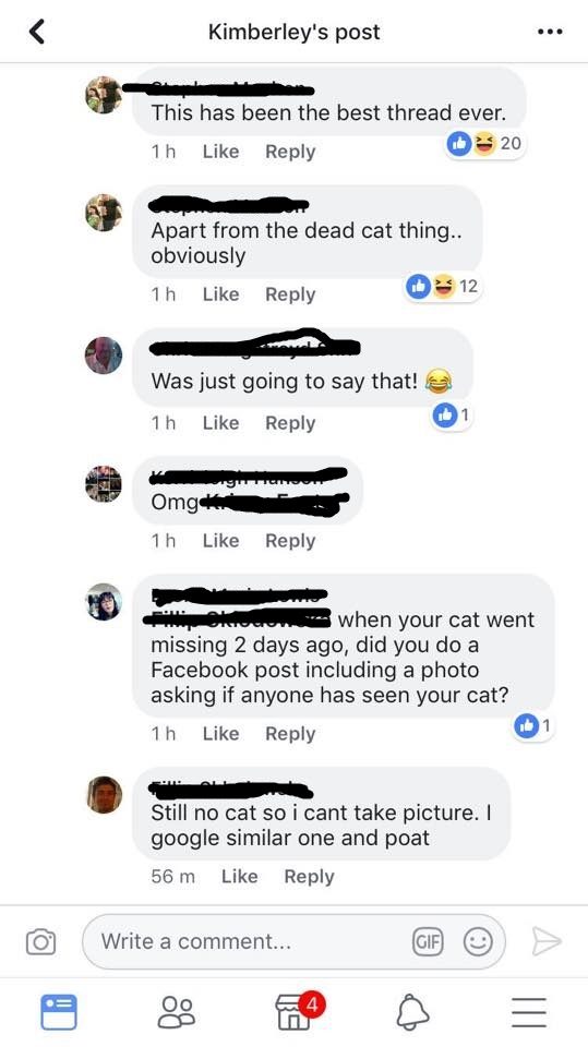 facebook post like this but cat - Kimberley's post This has been the best thread ever. 1h 20 Apart from the dead cat thing.. obviously 1h 0 12 Was just going to say that! 1h Omgkn 1h 3 when your cat went missing 2 days ago, did you do a Facebook post incl