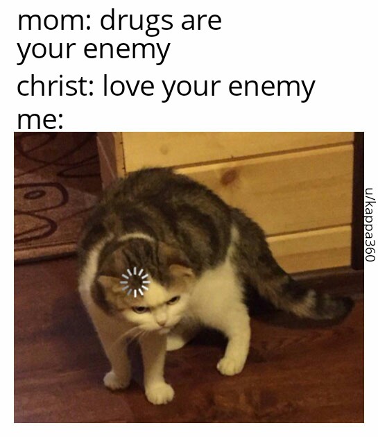 cat loading meme crush - mom drugs are your enemy christ love your enemy me ukappa360