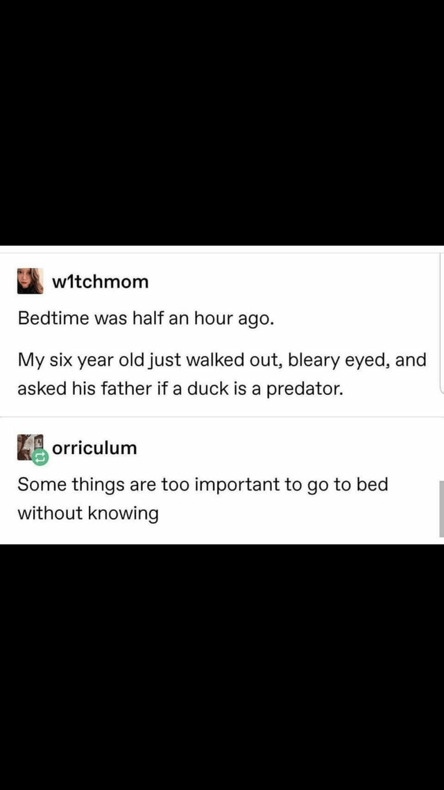screenshot - Switchmom Bedtime was half an hour ago. My six year old just walked out, bleary eyed, and asked his father if a duck is a predator. K orriculum Some things are too important to go to bed without knowing
