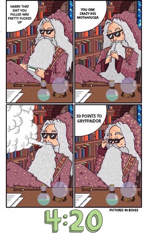 dumbledore dope - Harry That Shit You Pulled Was Pretty Fucked Up You One Crazy Ass Mothafucka 50 Points To Gryffindor Pictures In Boxes