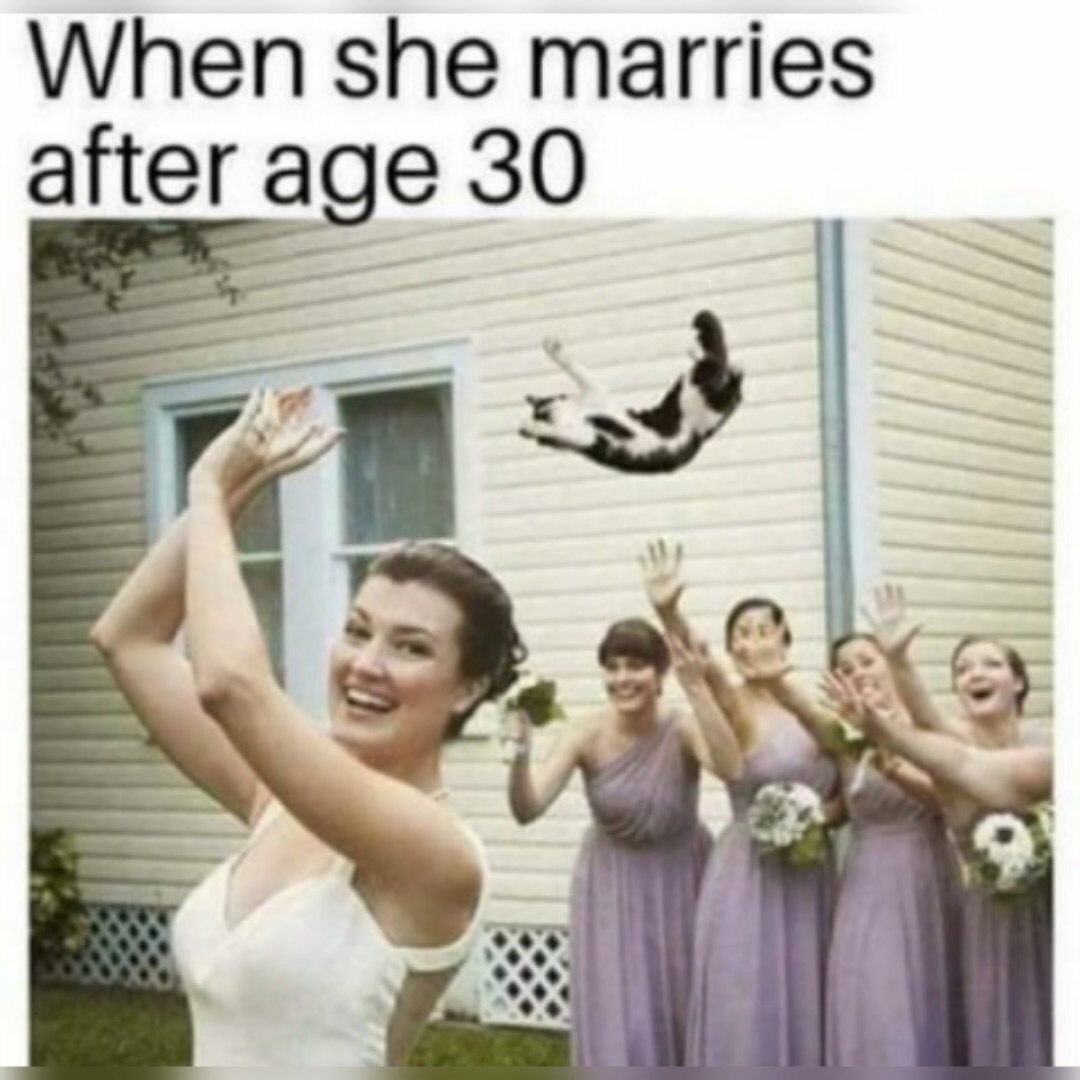 lady fighting cat meme - When she marries after age 30