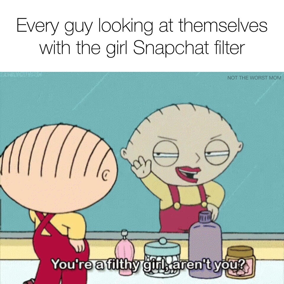 stewie griffin memes - Every guy looking at themselves with the girl Snapchat filter Not The Worst Mom You're a filthy girls aren't you?