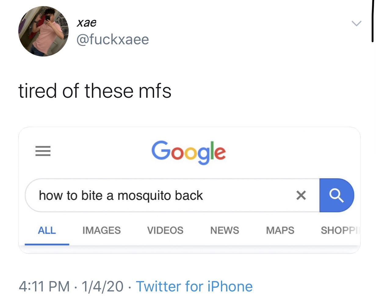 screenshot - xae tired of these mfs Google how to bite a mosquito back All Images Videos News Maps Shoppi 1420 Twitter for iPhone