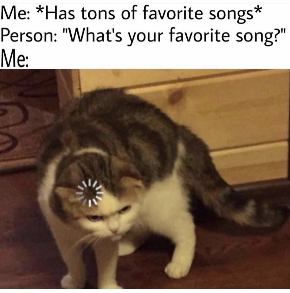 cat thinking meme loading - Me Has tons of favorite songs Person "What's your favorite song?" Me
