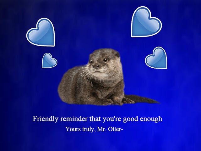 photo caption - Friendly reminder that you're good enough Yours truly, Mr. Otter
