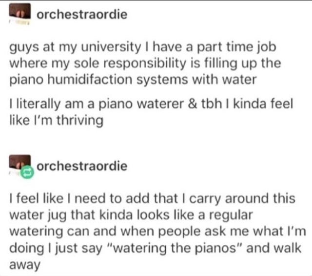 La orchestraordie guys at my university I have a part time job where my sole responsibility is filling up the piano humidifaction systems with water I literally am a piano waterer & tbh I kinda feel I'm thriving L orchestraordie I feel I need to add that 