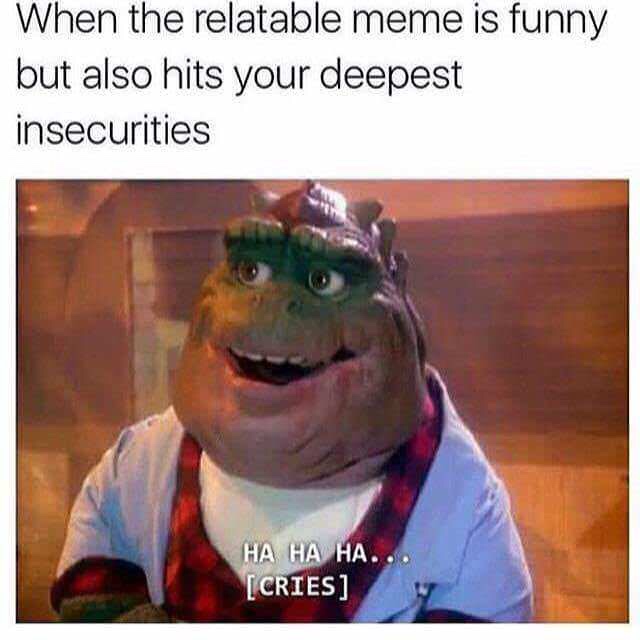 relatable meme is funny - When the relatable meme is funny but also hits your deepest insecurities Ha Ha Ha... Cries