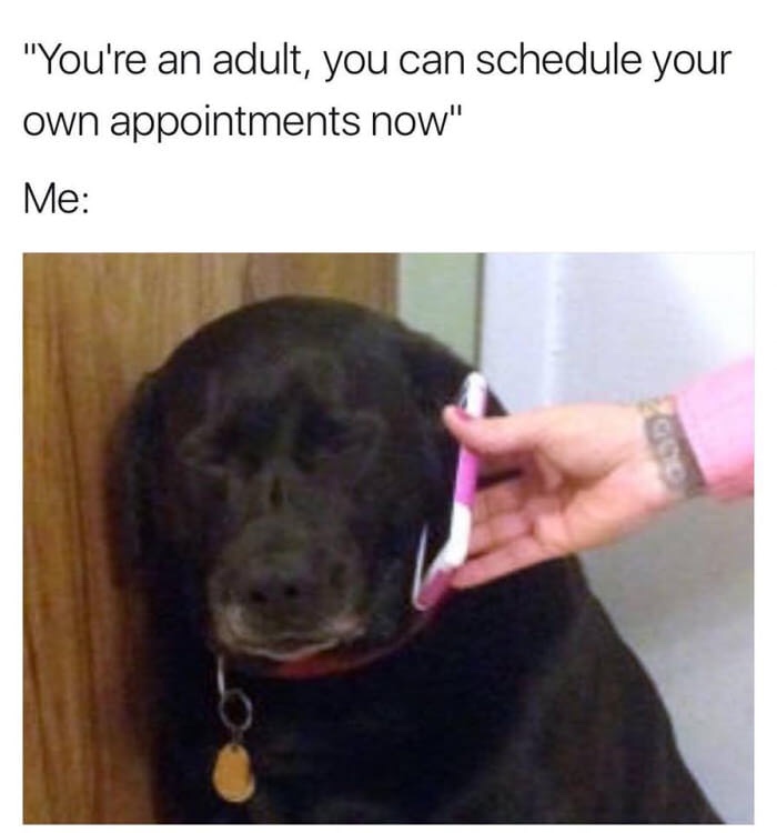 adulting memes - "You're an adult, you can schedule your own appointments now" Me
