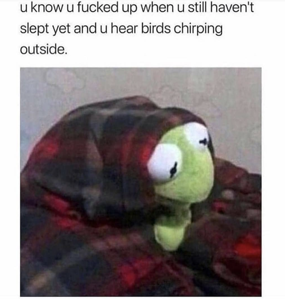 kermit meme - u know u fucked up when u still haven't slept yet and u hear birds chirping outside.