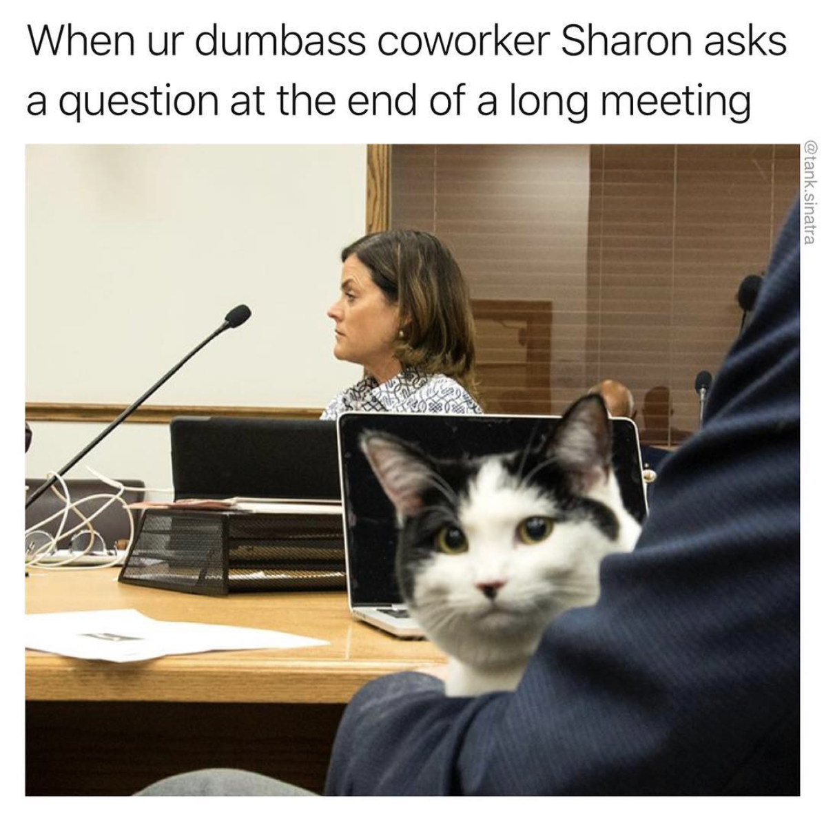 sharon coworker meme - When ur dumbass coworker Sharon asks a question at the end of a long meeting tank Sinatra