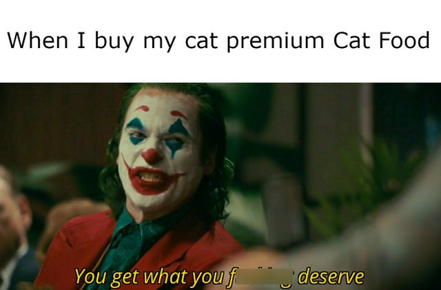 you get what you fucking deserve - When I buy my cat premium Cat Food You get what you f deserve