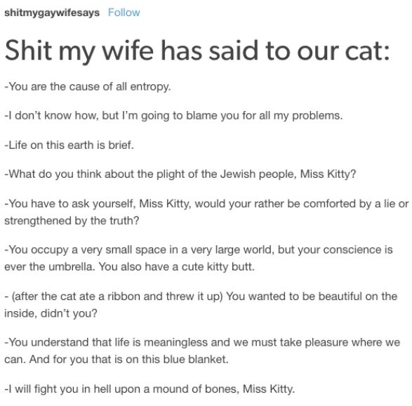 funny tumblr posts - shitmygaywifesays Shit my wife has said to our cat You are the cause of all entropy. I don't know how, but I'm going to blame you for all my problems. Life on this earth is brief. What do you think about the plight of the Jewish peopl