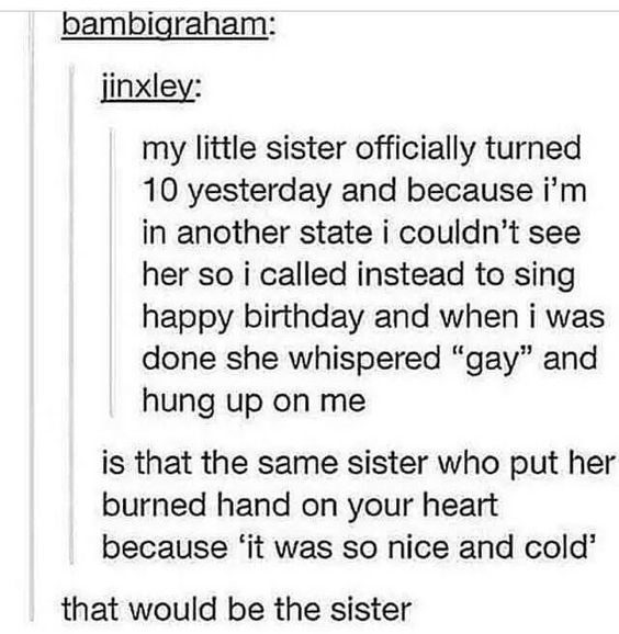 funny tumblr posts about siblings - bambigraham jinxley my little sister officially turned 10 yesterday and because i'm in another state i couldn't see her so i called instead to sing happy birthday and when i was done she whispered "gay" and hung up on m