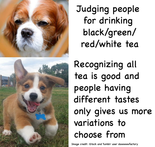 photo caption - Judging people for drinking blackgreen redwhite tea Recognizing all tea is good and people having different tastes only gives us more variations to choose from Image credit iStock and Tumblr user dawwwwfactory