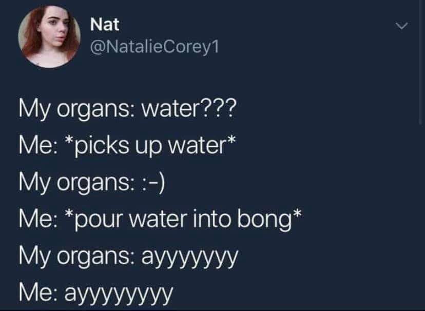 presentation - Nat My organs water??? Me picks up water My organs Me pour water into bong My organs Me ayyyyyyyy
