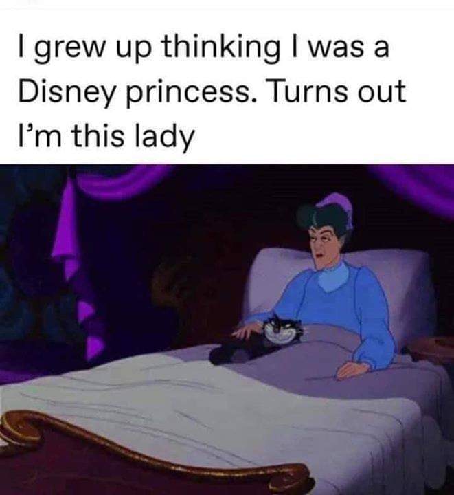 disney princess memes - I grew up thinking I was a Disney princess. Turns out I'm this lady