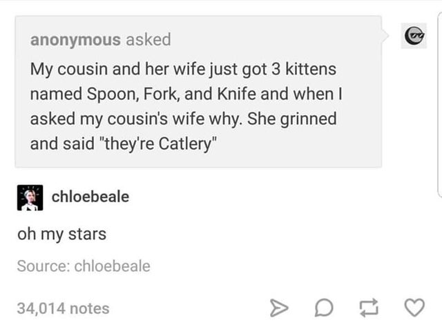 document - anonymous asked My cousin and her wife just got 3 kittens named Spoon, Fork, and Knife and when I asked my cousin's wife why. She grinned and said "they're Catlery" chloebeale oh my stars Source chloebeale 34,014 notes