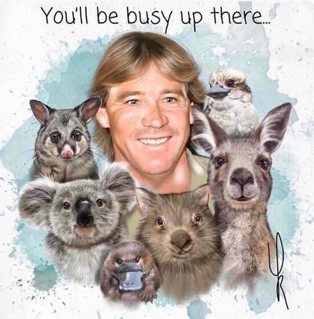 steve irwin - You'll be busy up there.