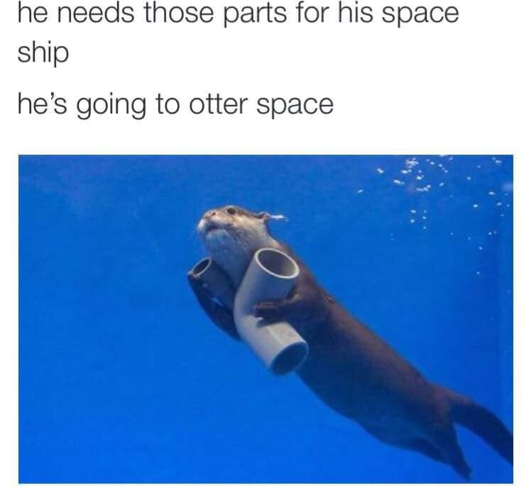 he's going to otter space - he needs those parts for his space ship he's going to otter space