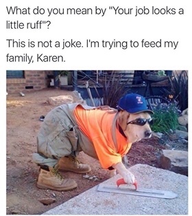 i m trying to feed my family karen - What do you mean by "Your job looks a little ruff"? This is not a joke. I'm trying to feed my family, Karen.