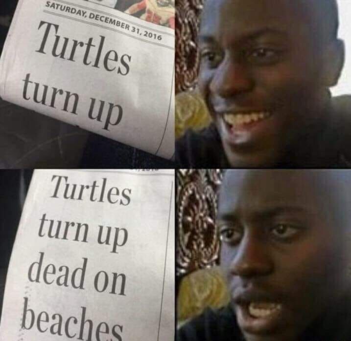 turtle dark humor - Saturday, Turtles | turn up Turtles turn up dead on beaches