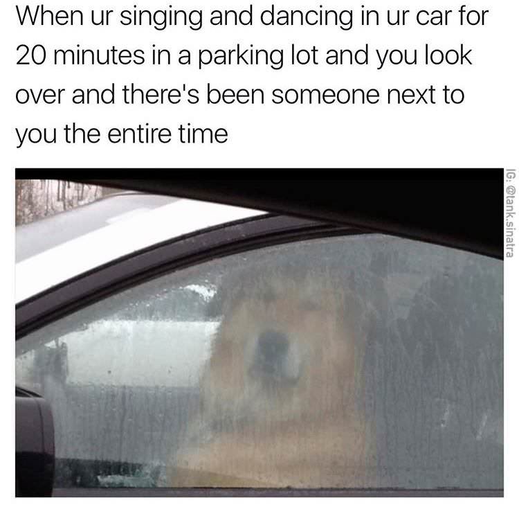 vehicle door - When ur singing and dancing in ur car for 20 minutes in a parking lot and you look over and there's been someone next to you the entire time Ig .sinatra