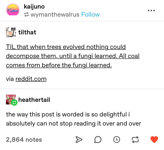 document - kaijuno wymanthewalrus tilthat Til that when trees evolved nothing could decompose them, until a fungi learned. All coal comes from before the fungi learned. via reddit.com heathertail the way this post is worded is so delightful i absolutely c