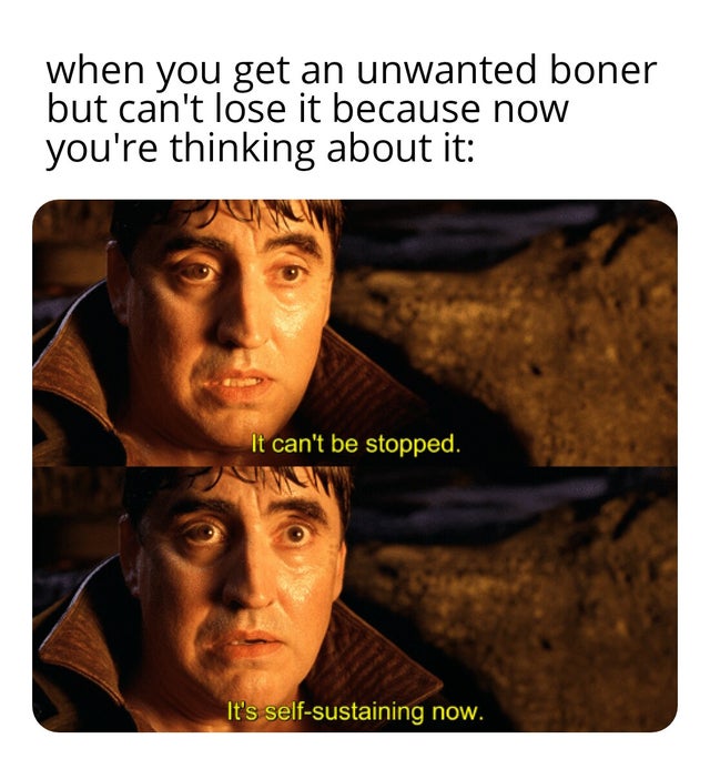 can t be stopped its self sustaining - when you get an unwanted boner but can't lose it because now you're thinking about it It can't be stopped. It's selfsustaining now.