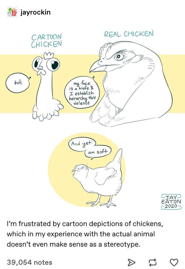cartoon - jayrockin Real Chicken Cartoon Chicken co buk my face is a knife & I establish heirarchy thru violence And yet am soft Ctay Eaton 2020 I'm frustrated by cartoon depictions of chickens, which in my experience with the actual animal doesn't even m