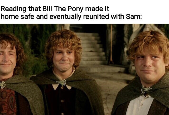 lord of the rings frodo - Reading that Bill The Pony made it home safe and eventually reunited with Sam
