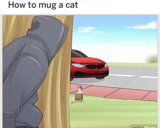 cartoon - How to mug a cat