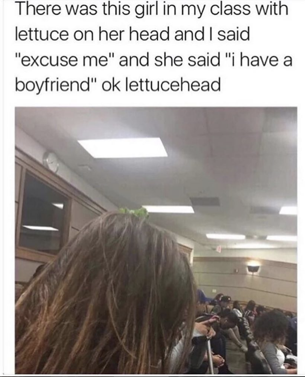 lettuce head meme - There was this girl in my class with lettuce on her head and I said "excuse me" and she said "i have a boyfriend" ok lettucehead