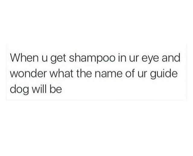 you find someone you connect - When u get shampoo in ur eye and wonder what the name of ur guide dog will be