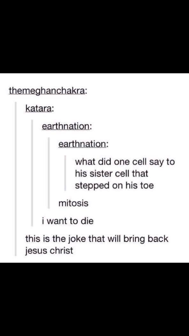 angle - themeghanchakra katara earthnation earthnation what did one cell say to his sister cell that stepped on his toe mitosis i want to die this is the joke that will bring back jesus christ