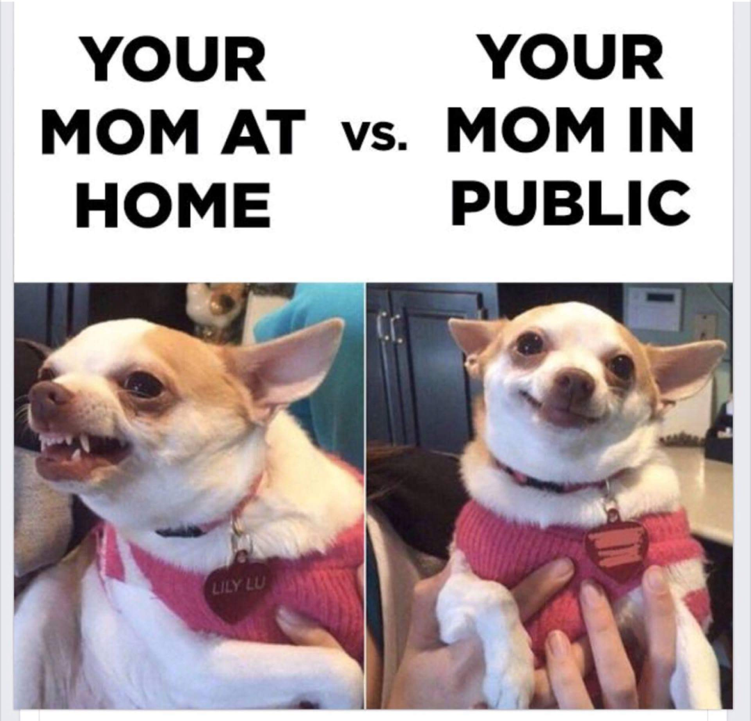 mom at home vs mom in public meme - Your Your Mom At vs. Mom In Home Public
