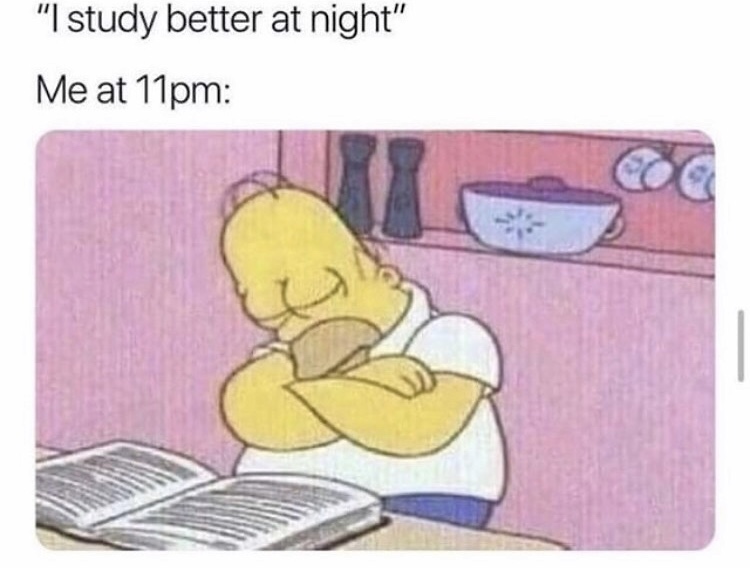 good memes 2019 - "I study better at night" Me at 11pm
