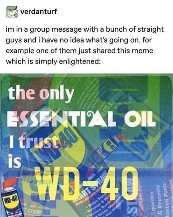 water - verdanturf im in a group message with a bunch of straight guys and i have no idea what's going on. for example one of them just d this meme which is simply enlightened the only Essential Oil I trust is Squeaks & Protects Rusted Parts