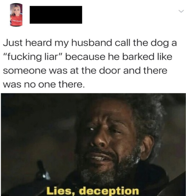 ruin johnson - Just heard my husband call the dog a "fucking liar" because he barked someone was at the door and there was no one there. Lies, deception