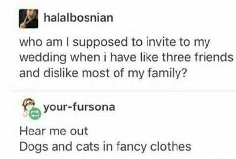 Humour - halalbosnian who am I supposed to invite to my wedding when i have three friends and dis most of my family? yourfursona Hear me out Dogs and cats in fancy clothes