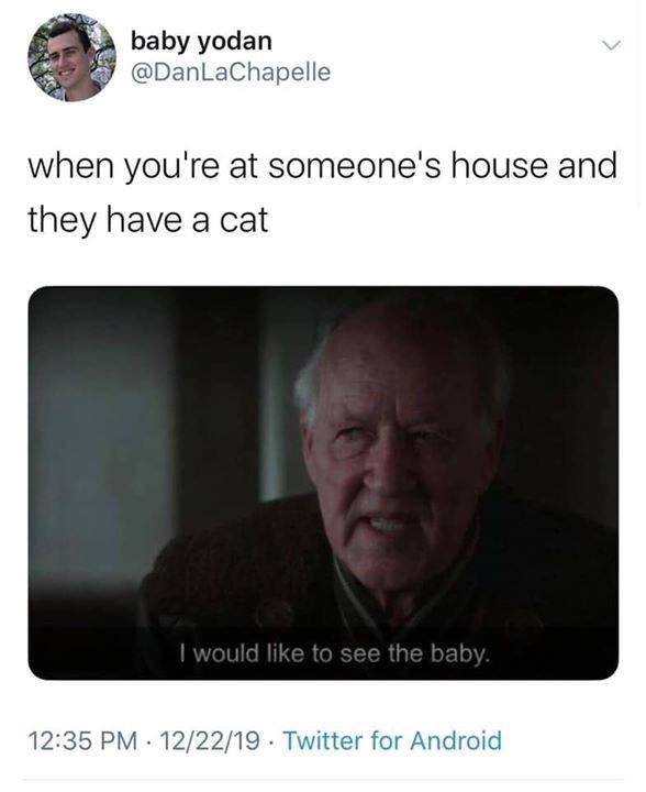 evil patrick face meme - baby yodan when you're at someone's house and they have a cat I would to see the baby. 122219. Twitter for Android