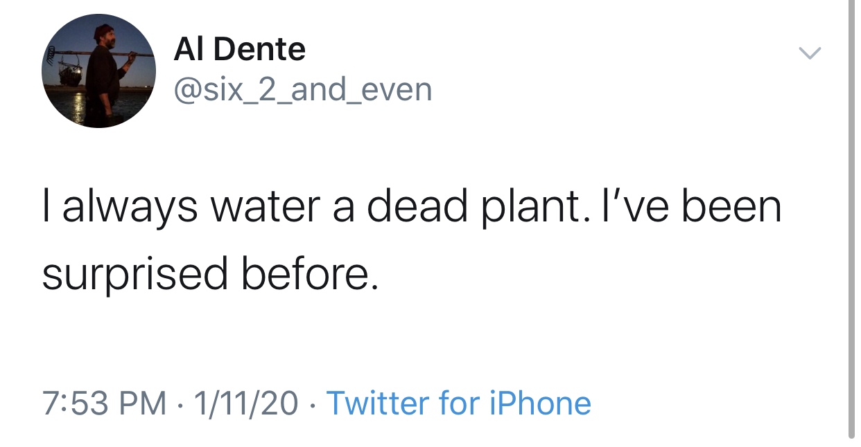 yo despues de haberla cagado - Al Dente I always water a dead plant. I've been surprised before. 11120 Twitter for iPhone