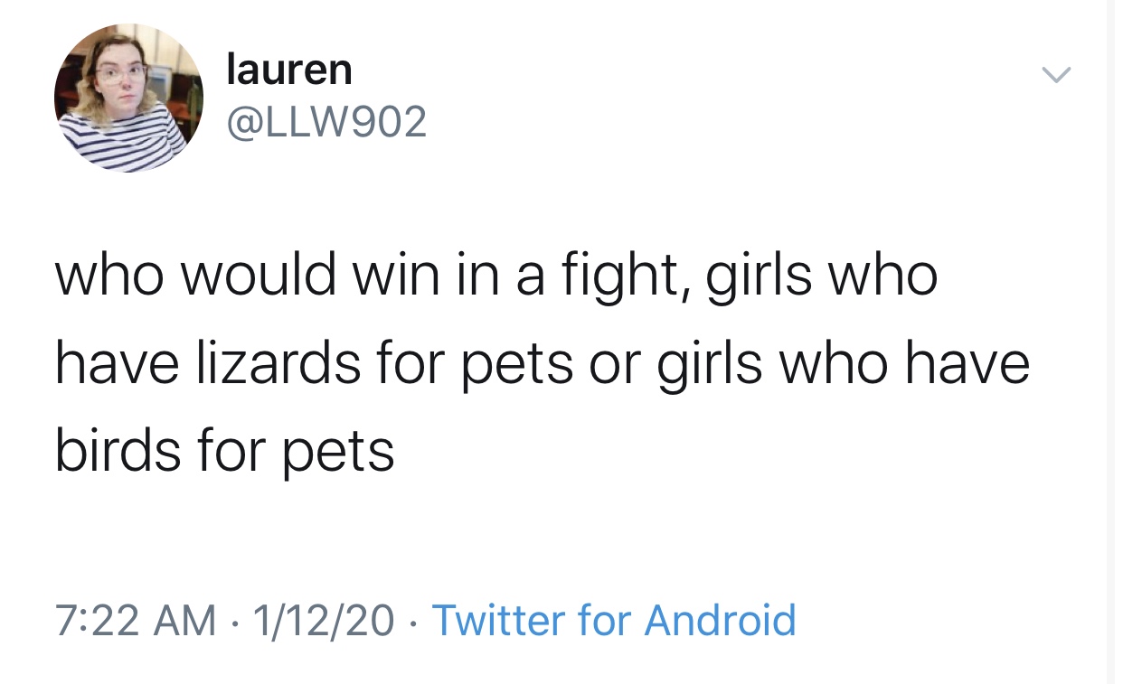 trump bin laden tweet - lauren who would win in a fight, girls who have lizards for pets or girls who have birds for pets 11220 Twitter for Android