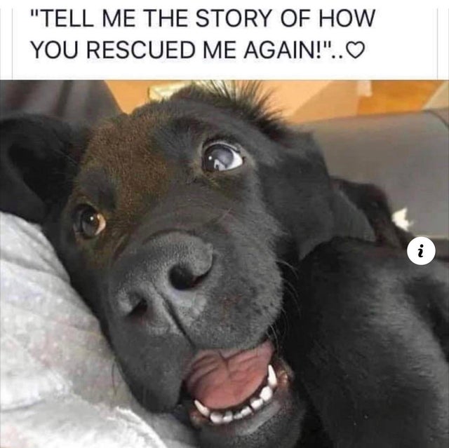 can you tell me the story - "Tell Me The Story Of How You Rescued Me Again!"..O
