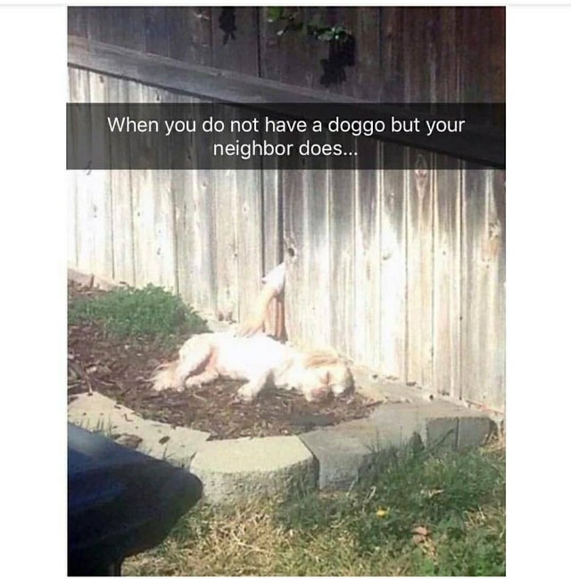 dog lil butt crack - When you do not have a doggo but your neighbor does...