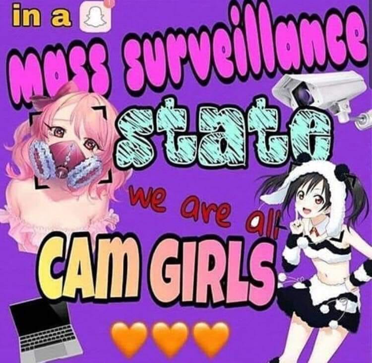 we are all camgirls meme - in a mass surveillance as we are also Cam Girls