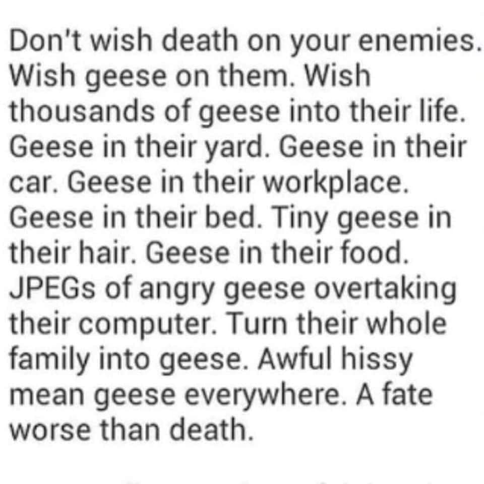 if you love two people - Don't wish death on your enemies. Wish geese on them. Wish thousands of geese into their life. Geese in their yard. Geese in their car. Geese in their workplace. Geese in their bed. Tiny geese in their hair. Geese in their food. J