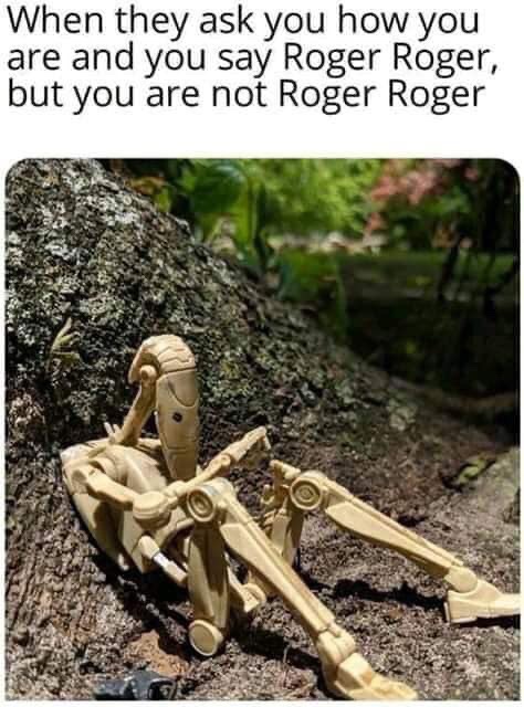 you say you re roger roger - When they ask you how you are and you say Roger Roger, but you are not Roger Roger