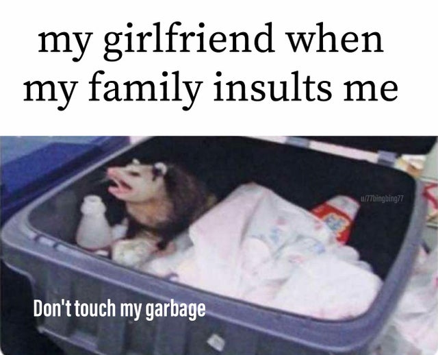don t touch my garbage - my girlfriend when my family insults me uT7bingbing77 Don't touch my garbage